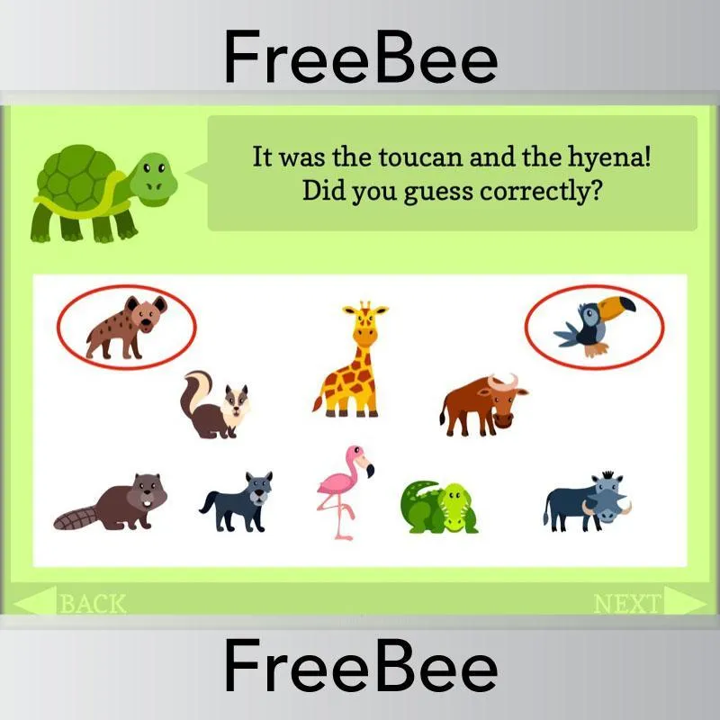 Animals of the World Brain Teasers