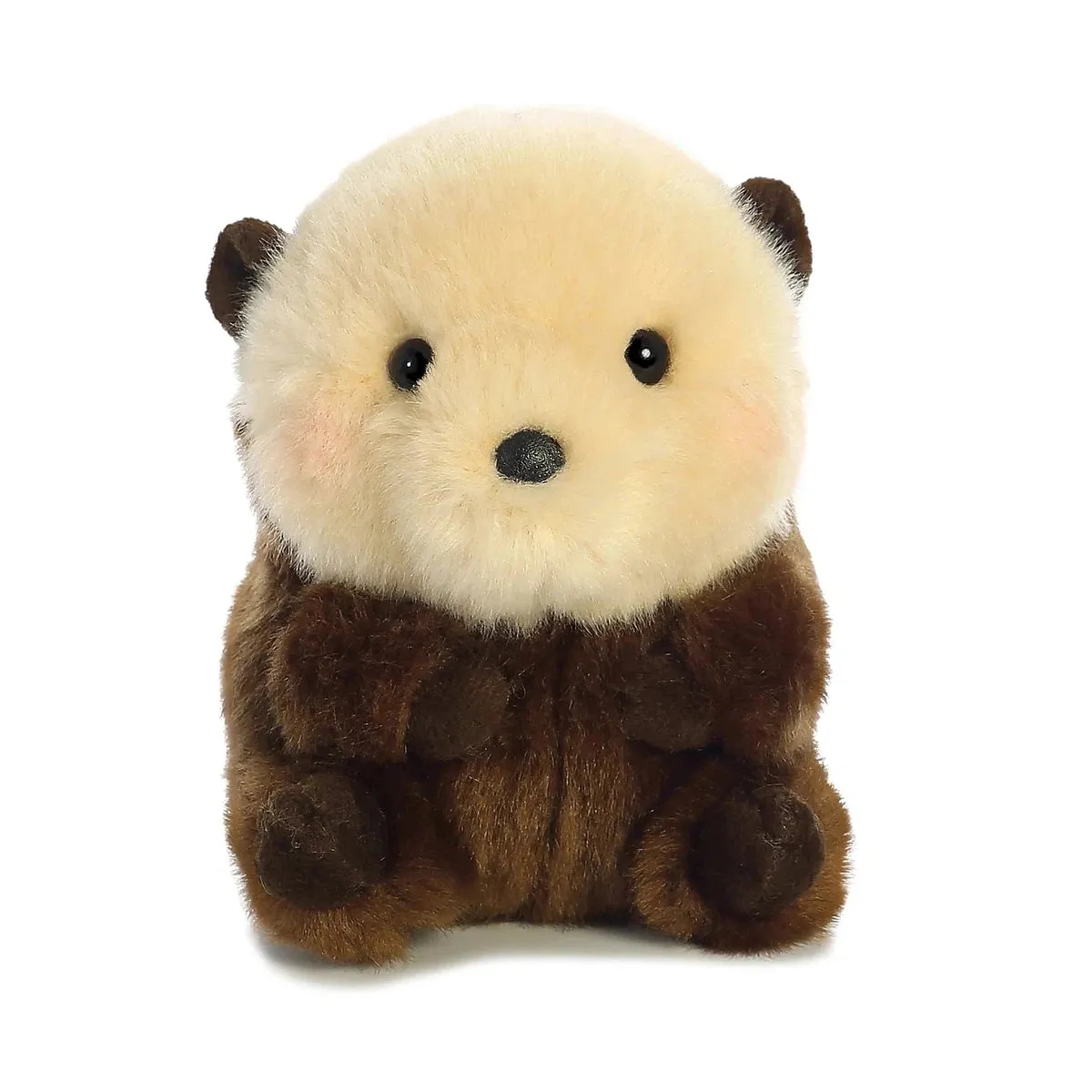 Aurora rolly pet smiles sea otter