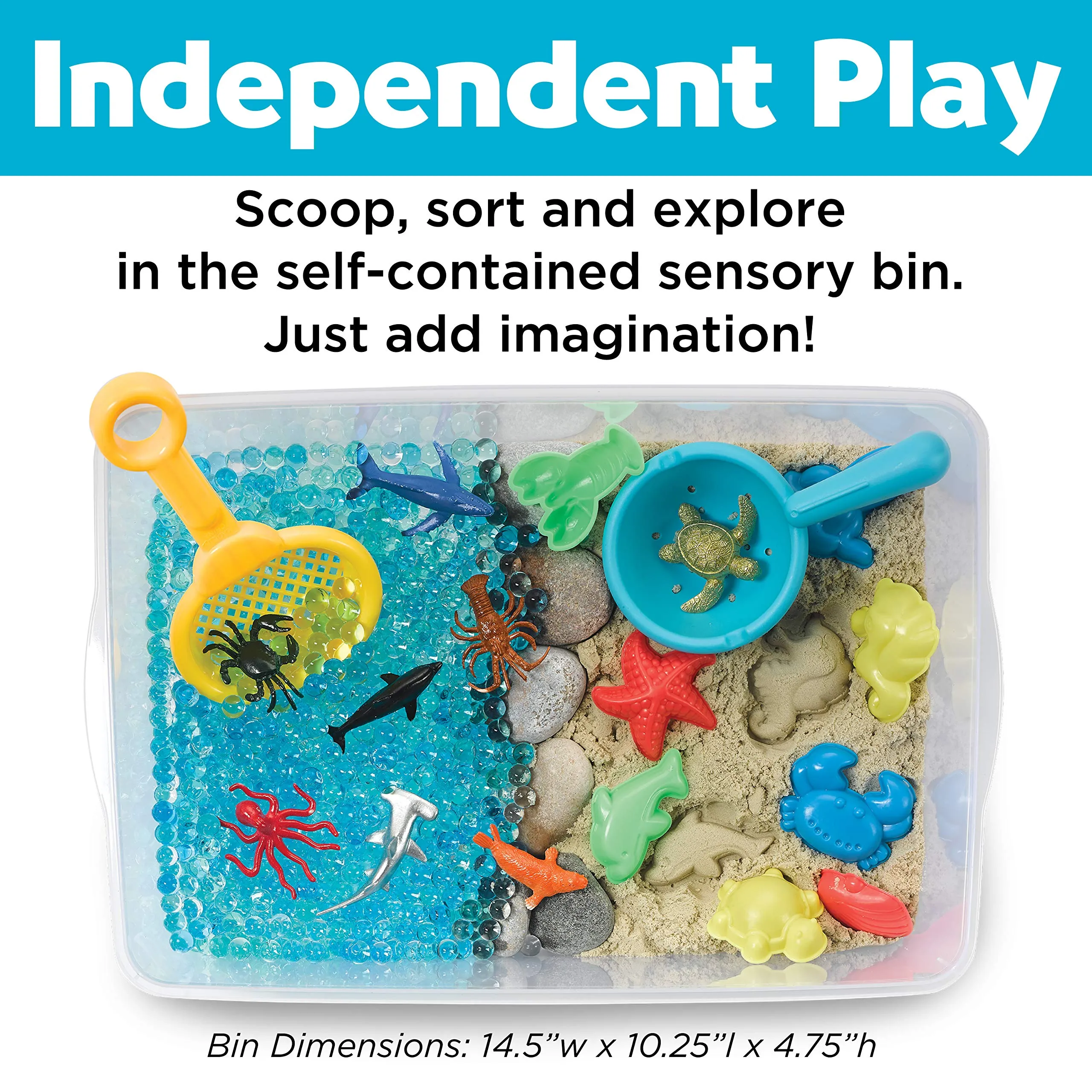 Sensory Bin Ocean and Sand - Sandbox